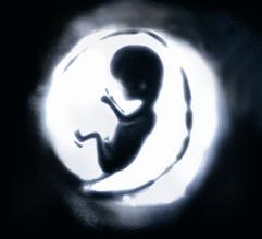 Ukraine 2012 ETS baby - targets pregnant women